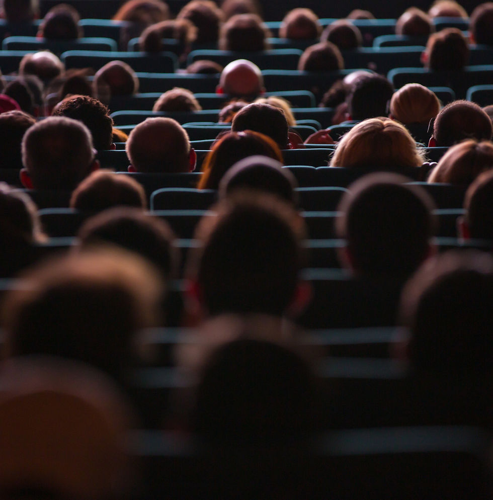 Audience In Theater